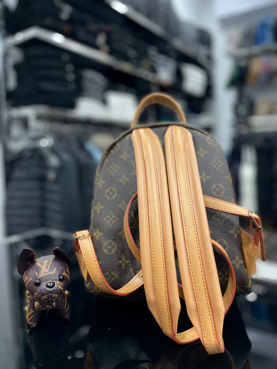 Louis Vuitton BackPack bag