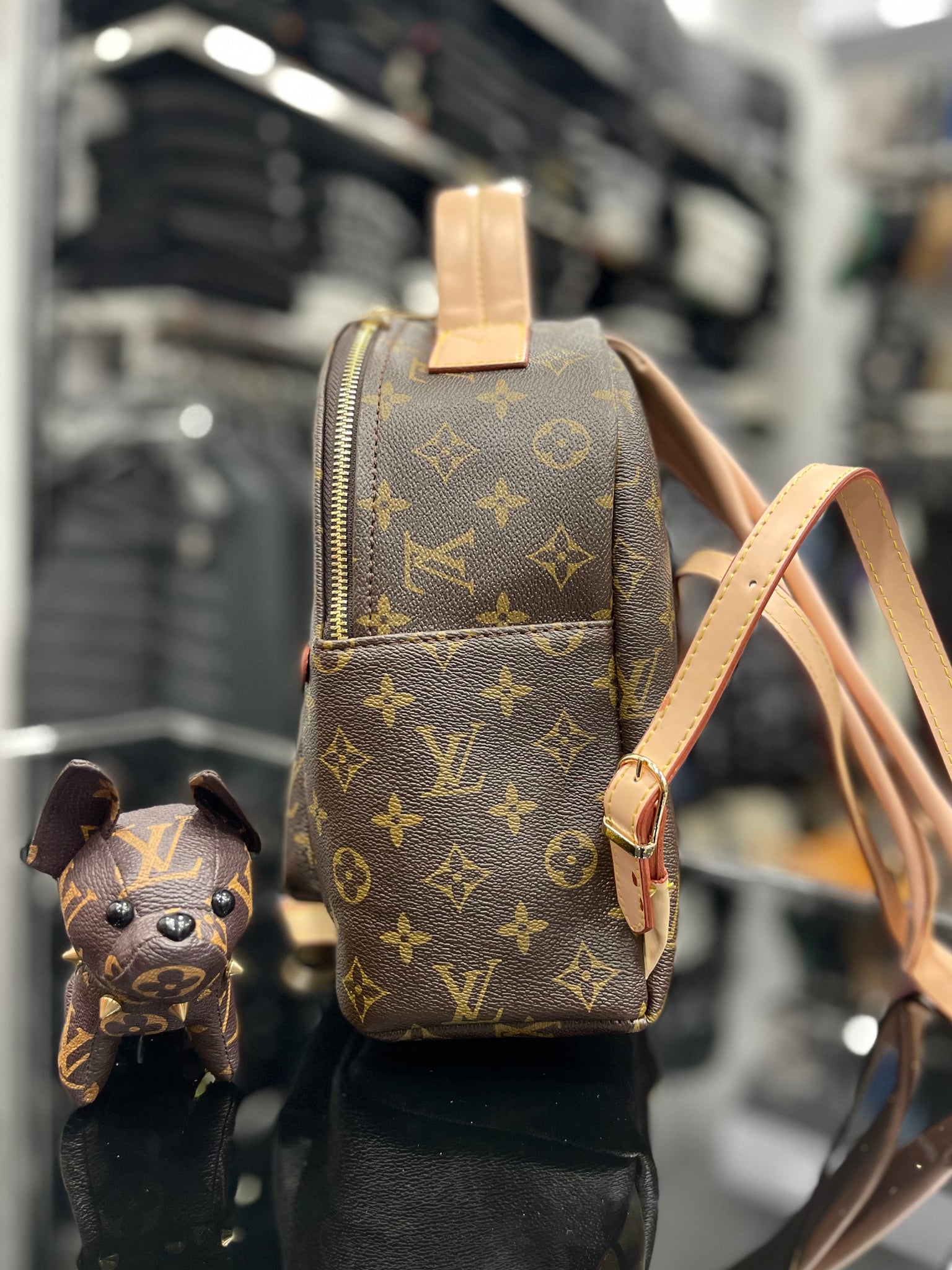 Louis Vuitton BackPack bag
