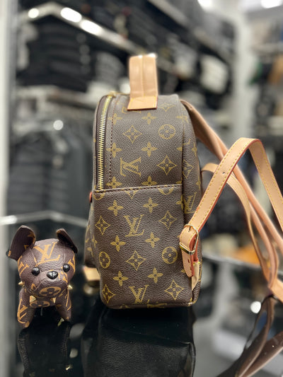 Louis Vuitton BackPack bag