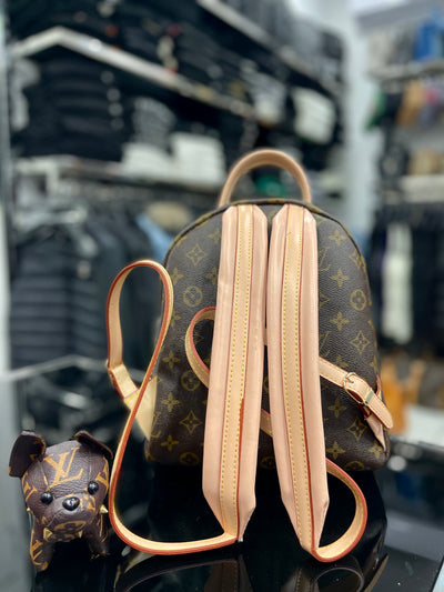 Louis Vuitton BackPack bag