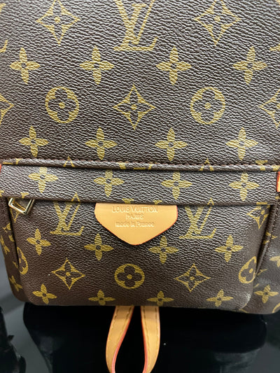 Louis Vuitton BackPack bag