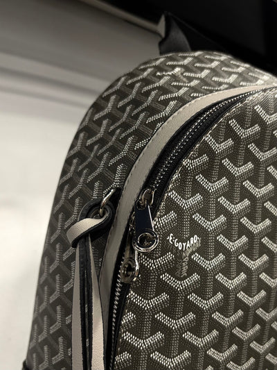 Goyard Alpin grey backpack