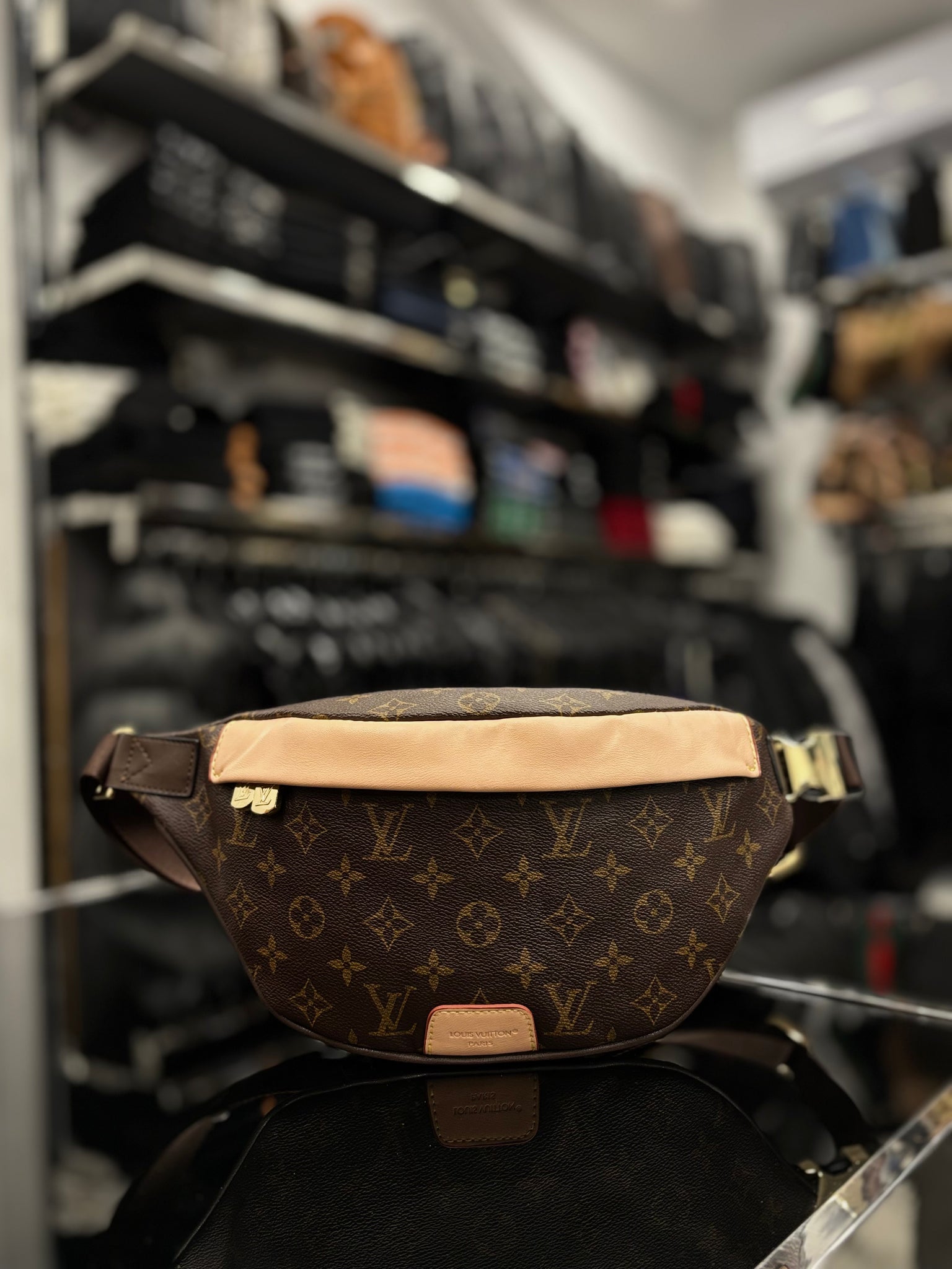 Louis Vuitton Bumbag Monogram