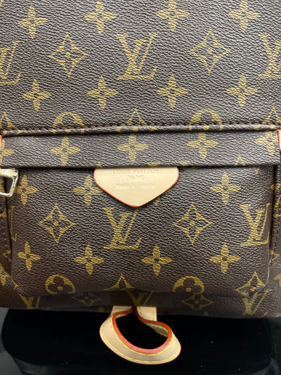 Louis Vuitton BackPack bag