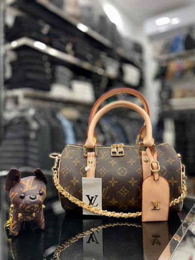 Louis Vuitton Speedy Large size bag