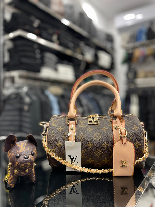 Louis Vuitton Speedy Large size bag