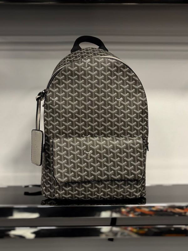 Goyard Alpin grey backpack