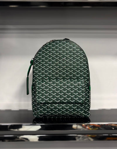 Goyard Alpin green backpack
