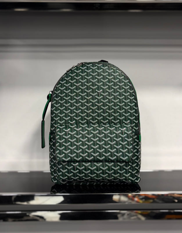 Goyard Alpin green backpack