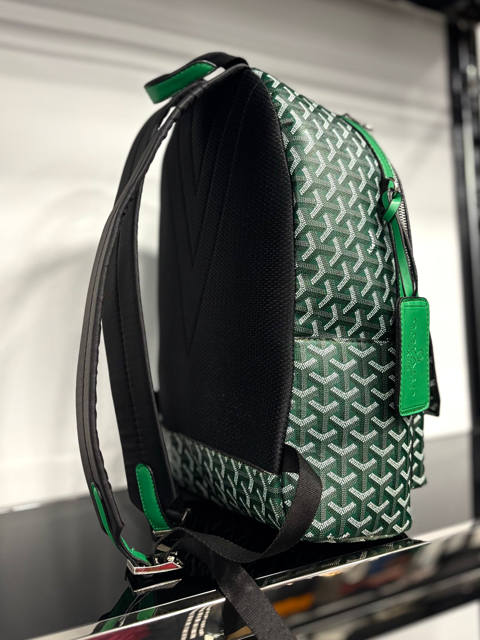 Goyard Alpin green backpack