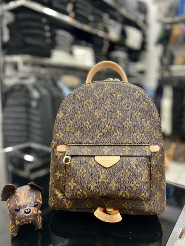 Louis Vuitton BackPack bag