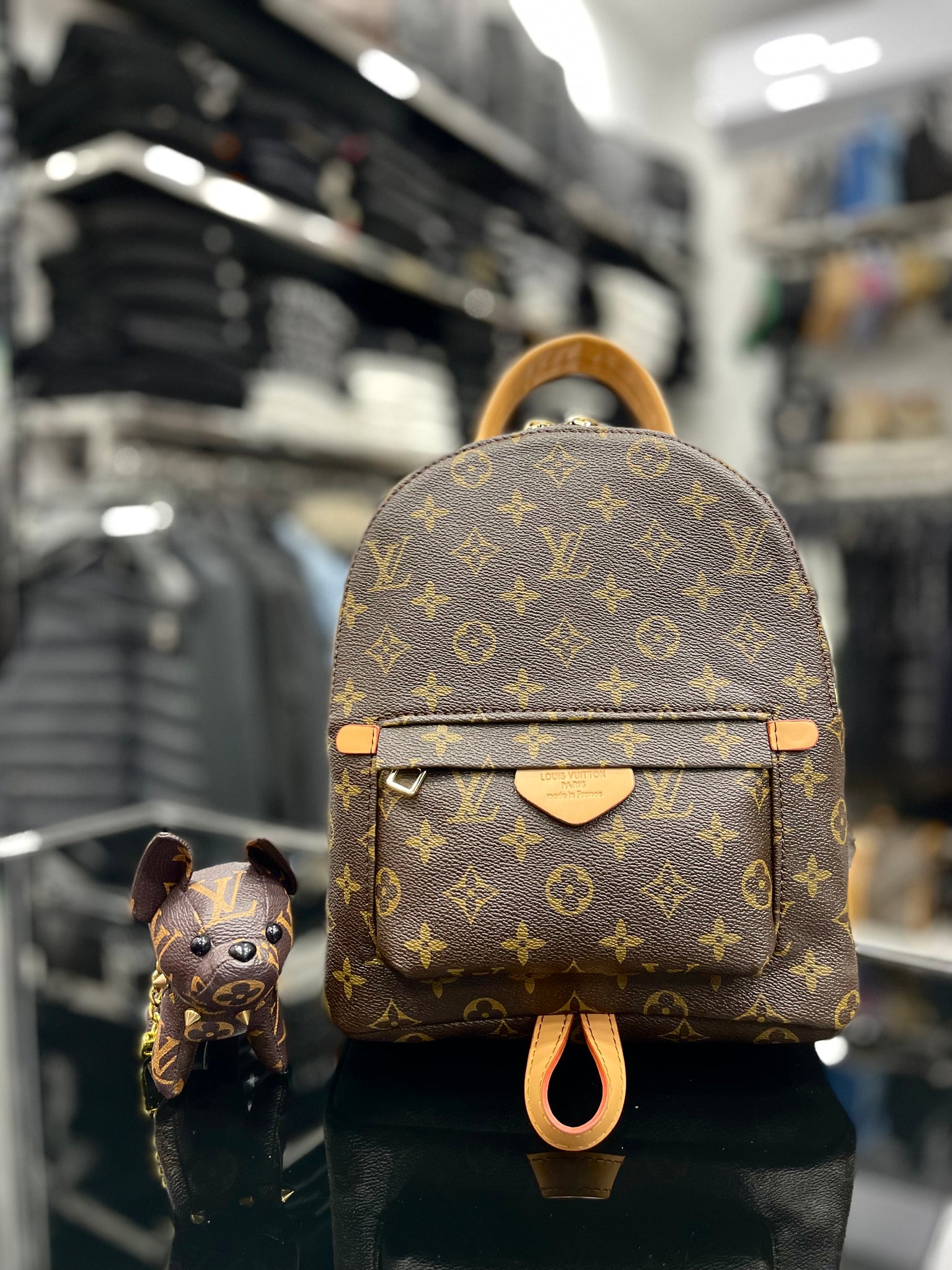 Louis Vuitton BackPack bag